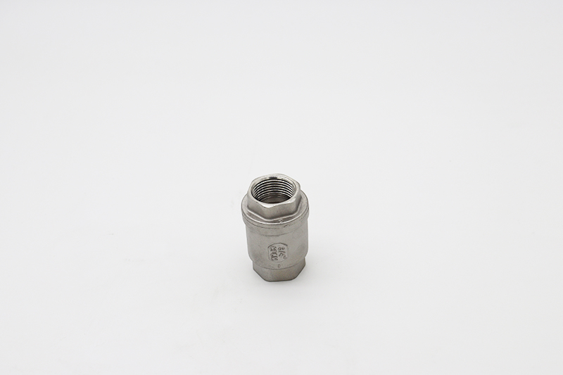 Vertical check valve
